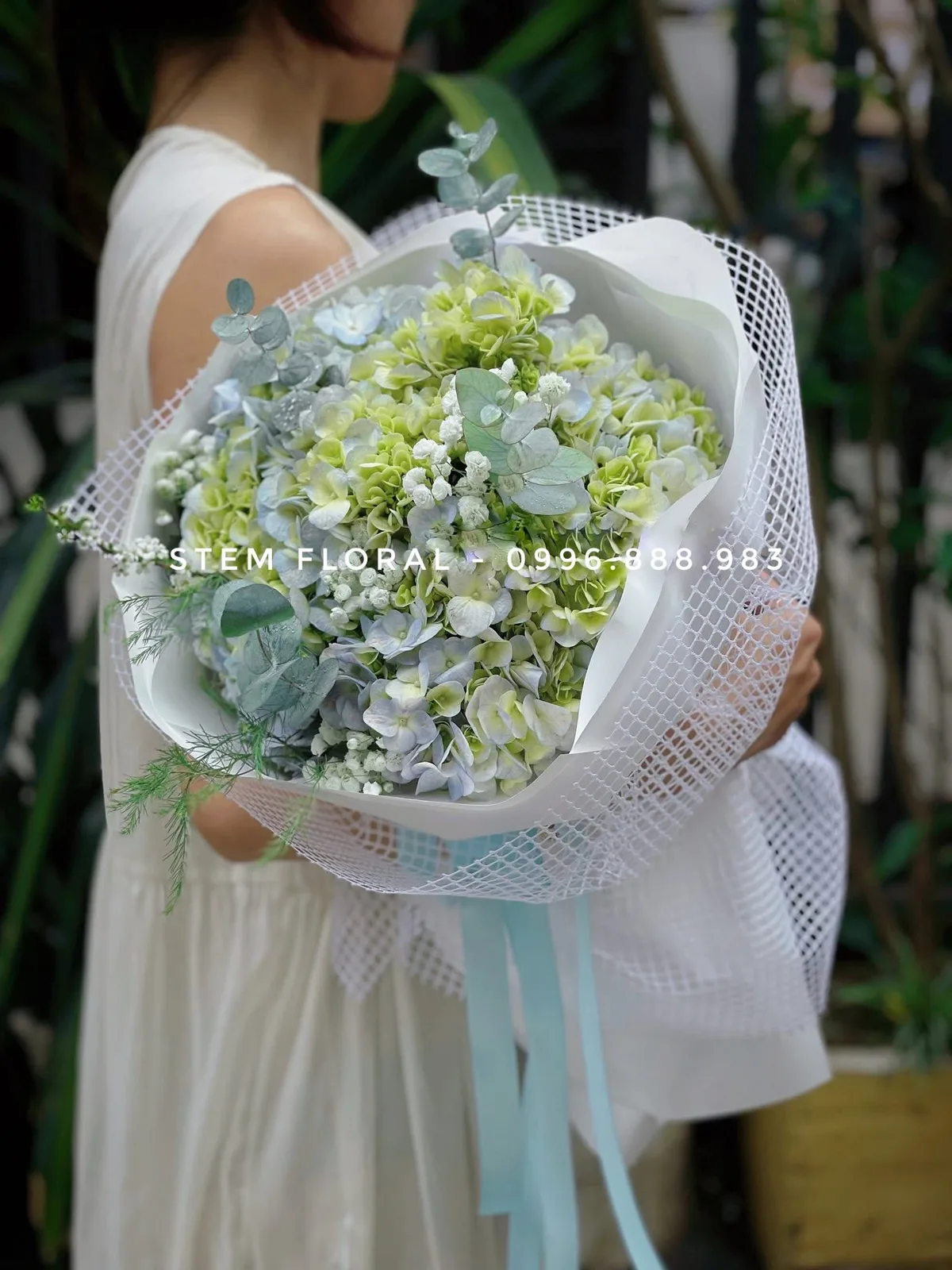 Bó cẩm tú cầu xanh trắng gói lưới sáng, buộc ribbon xanh dài — Stem Floral