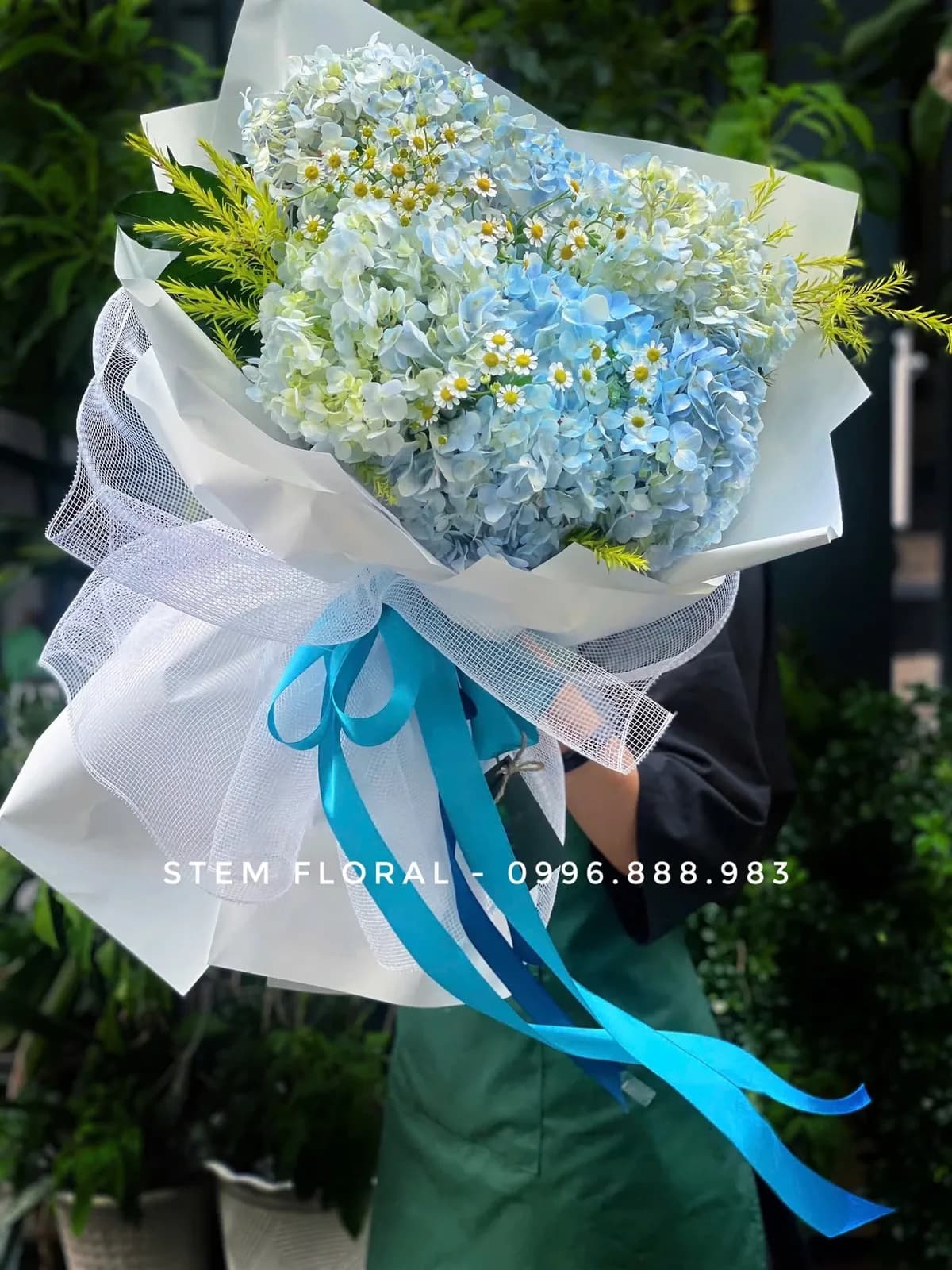 Cẩm tú cầu xanh nhạt trong giấy trắng cùng ribbon xanh — Stem Floral
