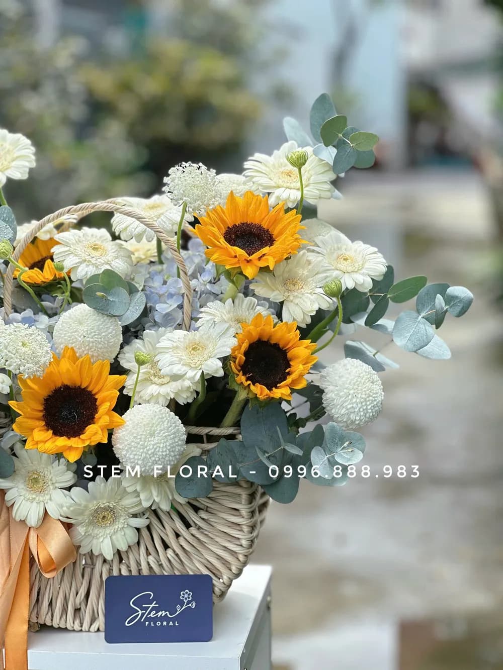 Nắng trong giỏ — góc chụp 3