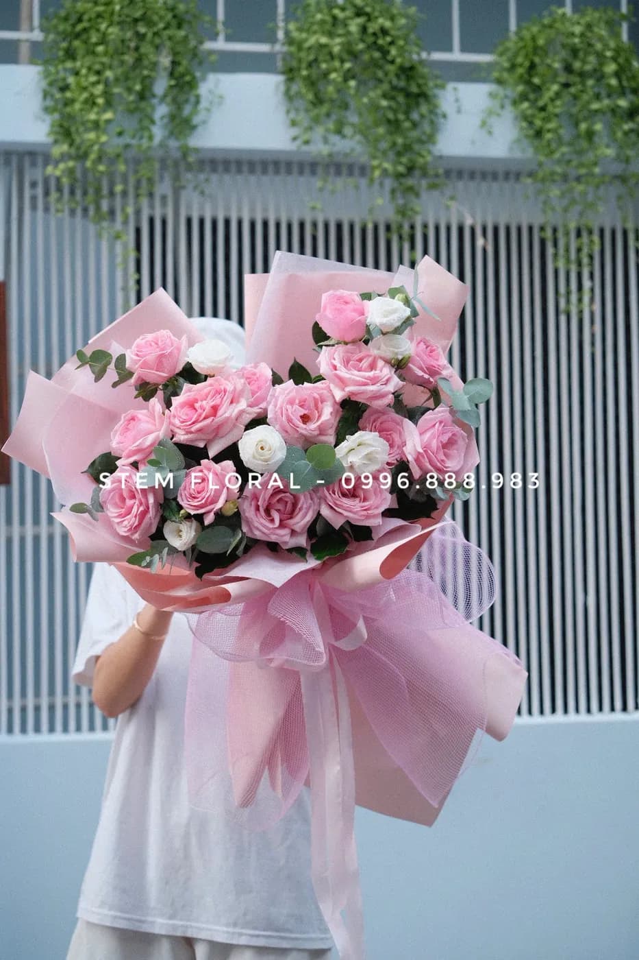Hồng phấn trong mây — Nhiều bông hồng phấn được sắp xếp thành dáng tròn, xen lá xanh bạc và những nhánh nhỏ trắng