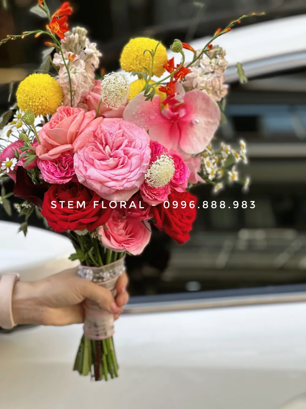 Hồng rực cầm tay — góc chụp 3