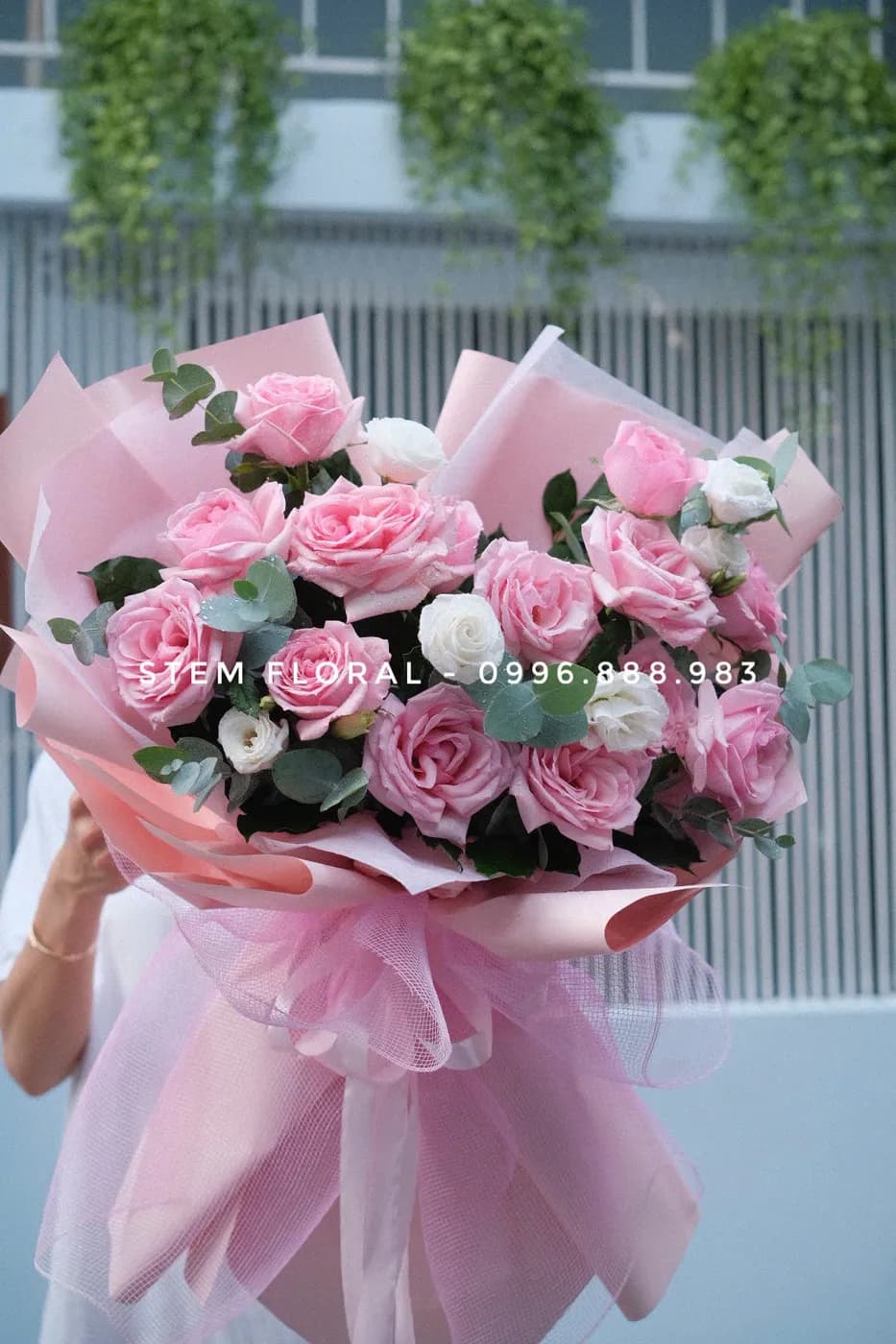 Hồng phấn trong mây — góc chụp 2
