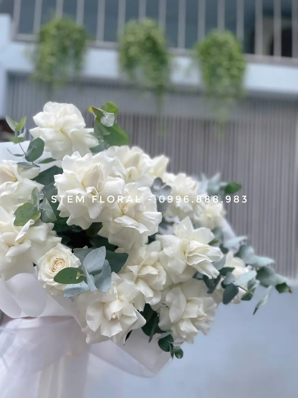 Trắng trong veo — góc chụp 3
