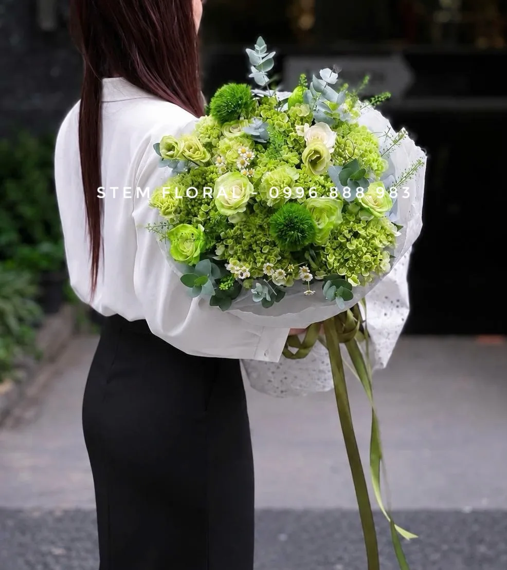 Hồng kem thanh nhã — Hoa hồng kem nằm giữa những cụm cẩm tú cầu xanh non và lá tròn xanh bạc