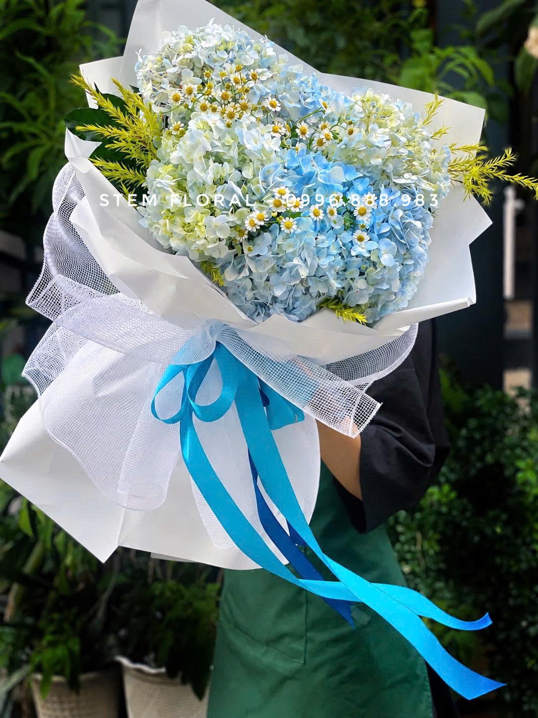 Mây xanh và trắng — Cẩm tú cầu xanh nhạt xen những bông trắng và xanh non, được bao quanh bởi giấy trắng rộng